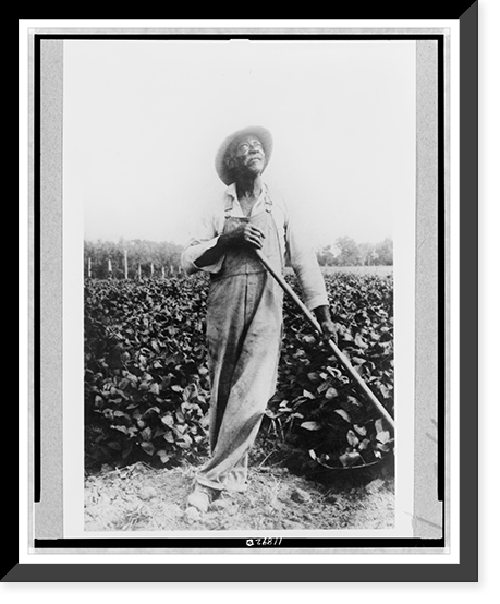 Full-length portrait of man, standing in field, with hoe(?), looking upward, in Washington, D.C. or New York area, Historic Print