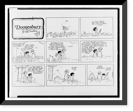 Doonesbury. Whoosh! I didn't really want you anyway, you stupid mourning cloak, Antique Wall Art