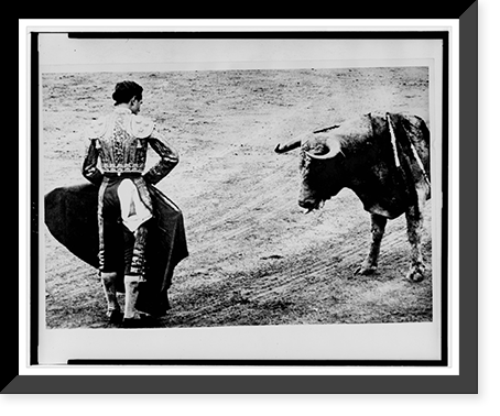 Matador Emilio Redondo holds cape before a bull which has been stabbed several times, Vintage Wall Art