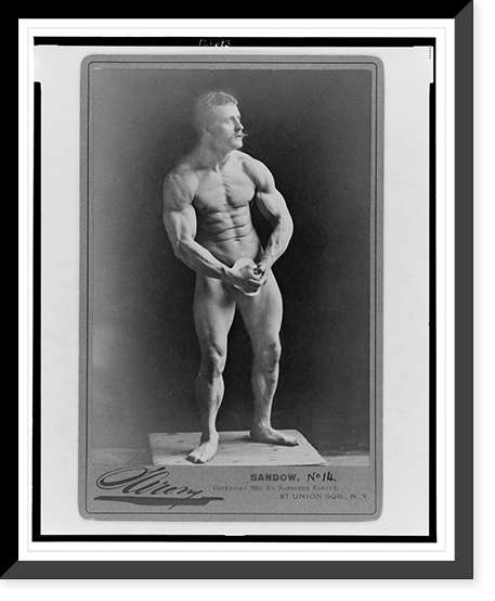 Sandow.Sarony. - 4, Historic Reproduction