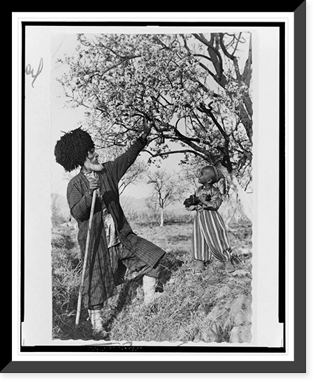 Turkmen SSR, tree in bloom. Old man, Shiri Shageldy with his grandson, Urazdury, in the garden, Kara-kalinskii district, Lenin Collective Farm.Georgii Zel'ma, Vintage Poster