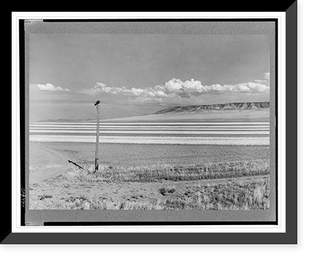 Contour ploughing and strip cropping of wheat fields just north of Great Falls, Montana, Antique Print