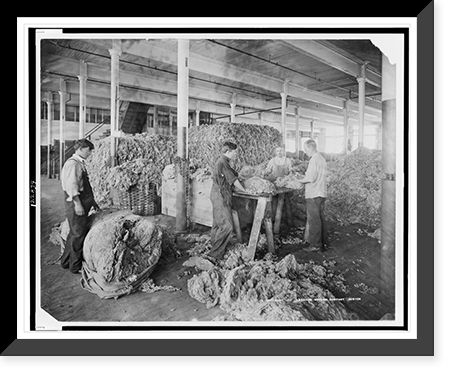 Four men sorting and grading raw wool fleeces, American Woolen Company, Boston Classic, Historic Reproduction