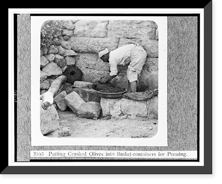 Historic Framed Print, Putting crushed olives into basket-containers for pressing,  17-7/8" x 21-7/8"
