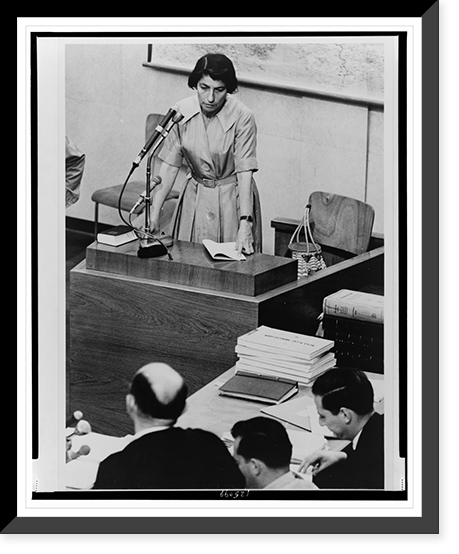 Historic Framed Print, Witness, Mrs. Zivia Lubetkin Zuckerman,  17-7/8" x 21-7/8"