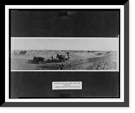 Subduing the desert, Imperial Valley, California, Vintage Print
