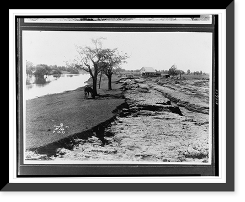 Historic Framed Print, [Floodwaters receding leaving misshapen landform, horse grazing beneath a tree, farmhouse in background with debris strewn before it].Ewing, Inc.,  17-7/8" x 21-7/8"