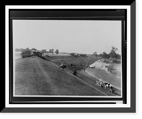 Chickens and cows grazing on side of levee, floodwaters in background and lower ground with buildings with minor damage, shack on crest, tents in background.Ewing, Inc, Vintage Print