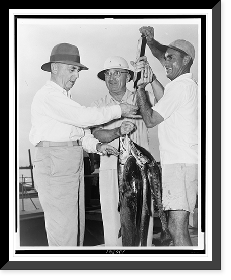 Admiral William Leahy (left) and President Truman (center) standing with U.S. Navy Captain Saunders, who is holding up a scale on which are hanging several fish, Vintage Wall Art