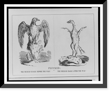 Plucked or, The Mexican eagle before the war! The Mexican eagle after the war! - 2, Vintage Wall Art