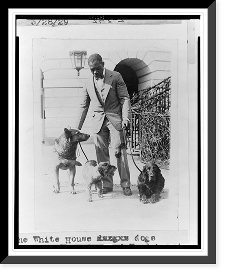 Historic Framed Print, The White House dogs King Tut, Whoopie, and Englehurst Gillette,  17-7/8" x 21-7/8"