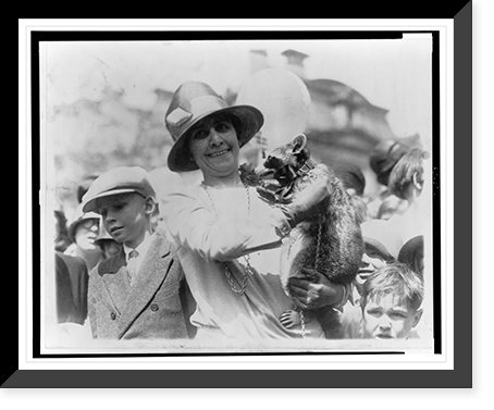 Historic Framed Print, Mrs. Coolidge exhibits her pet racoon [Rebecca] to crowds of children gathered for Easter egg rolling,  17-7/8" x 21-7/8"