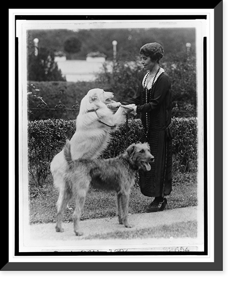 Black & White Photo - Grace Coolidge with two dogs