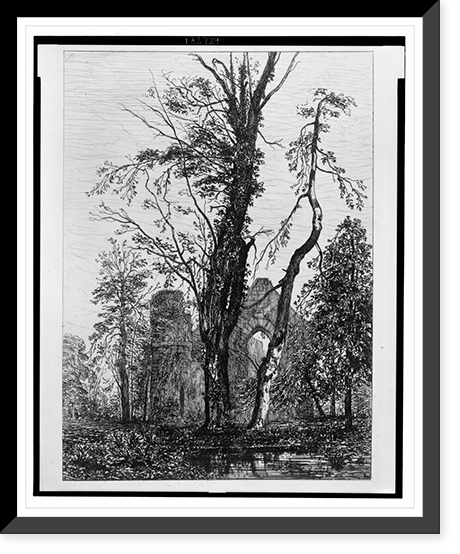 Dans un parc, arbres et ruines.Maxime Lalanne, Antique Poster