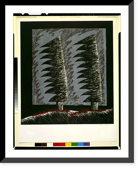 Historic Framed Print, [Red shadows].R.R. Lav.,  17-7/8" x 21-7/8"