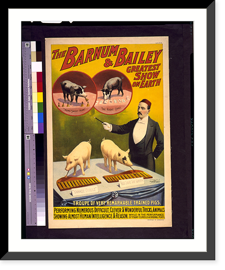 Historic Framed Print, The Barnum & Bailey greatest show on earth. Troupe of very remarkable trained pigs - 2,  17-7/8" x 21-7/8"