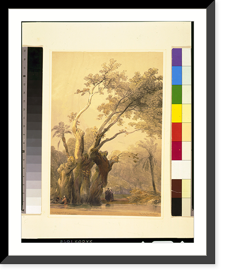 The holy tree, Metereah.David Roberts, R.A, Antique Poster