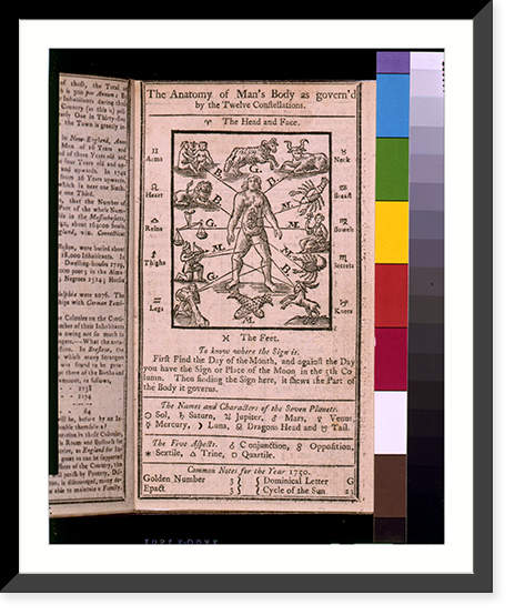 The anatomy of man's body, as governed by the twelve constellations - 2, Vintage Wall Art