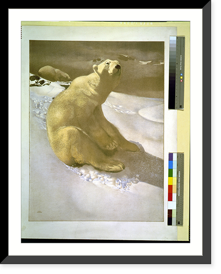 A polar bear seated on snow and another polar bear walking in background.Carl Ederer. - 2, Vintage Poster