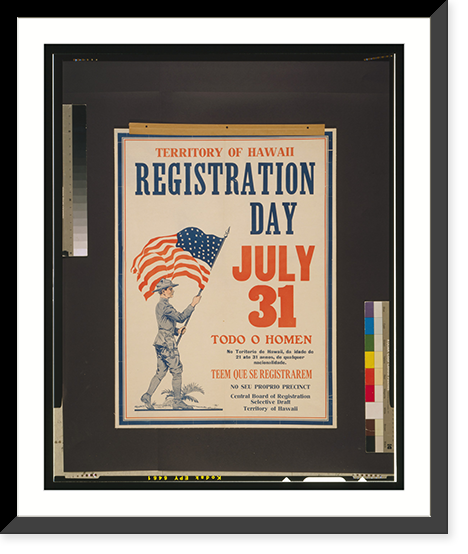 Territory of Hawaii registration day July 31, Antique Poster