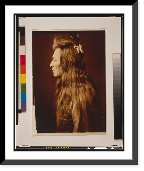 Black Eagle. profile - 2, Antique Print