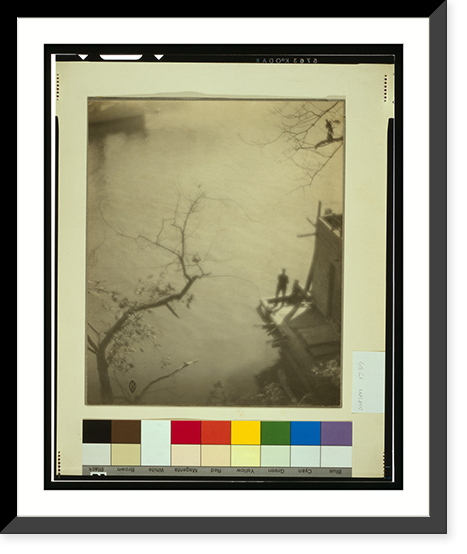 Historic Framed Print, [Design in nature].Photograph by E. R. Dickson, N.Y.C.,  17-7/8" x 21-7/8"