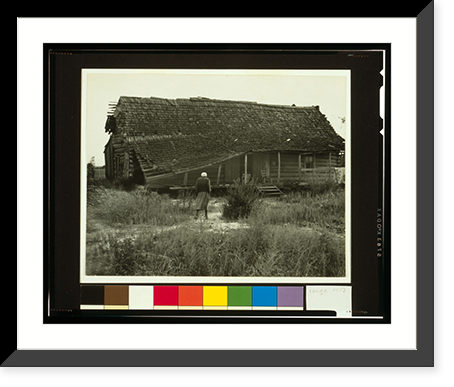 Ex-slave with a long memory, Alabama Classic, Antique Wall Art