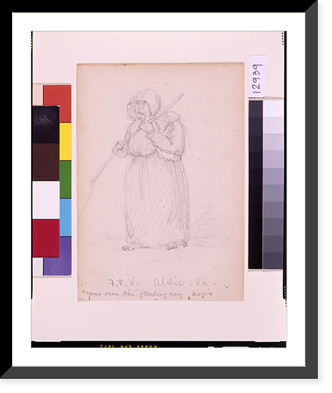 Your men bin stealing my hogs"" - 3 Classic, Historic Reproduction