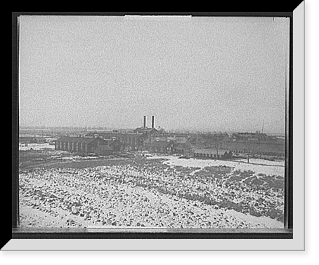 (LTOR) Misses: Deacosta . Stillman . Whitney . Motley . Proctor, Historic Print
