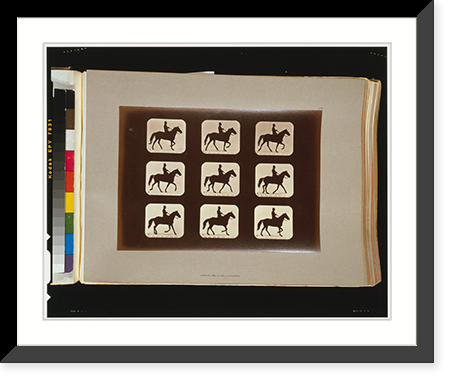 Horses. Ambling or single foot - 2, Antique Poster