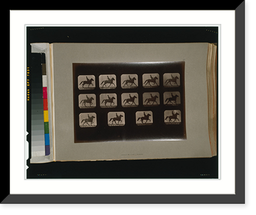 Historic Framed Print, Horses. Irregular - 5,  17-7/8" x 21-7/8"