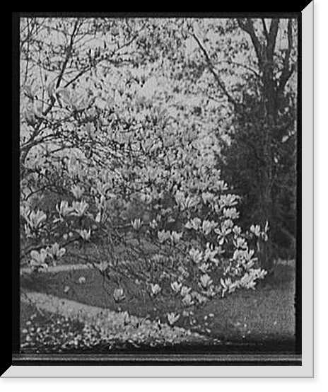Bliss Works, Bklyn, Antique Print