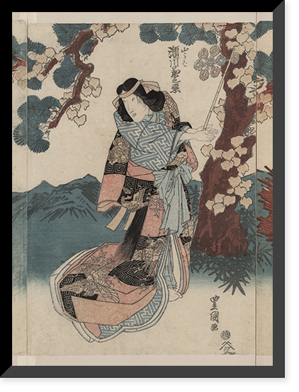 Historic Framed Print, [Japanese Ukiyo-e print] - 120,  17-7/8" x 21-7/8"