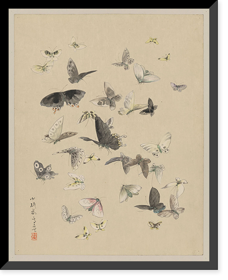 Japanese Ukiyo-e drawing - 48, Vintage Print