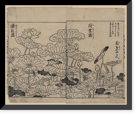 Historic Framed Print, [Japanese Ukiyo-e print] - 264,  17-7/8" x 21-7/8"