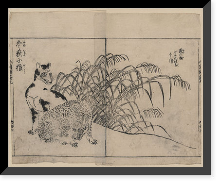 Historic Framed Print, [Japanese Ukiyo-e print] - 279,  17-7/8" x 21-7/8"