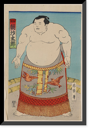 Japanese Ukiyo-e print - 533, Vintage Wall Art