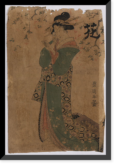Japanese Ukiyo-e print - 534, Vintage Print