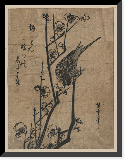 Japanese Ukiyo-e print - 563, Historic Print