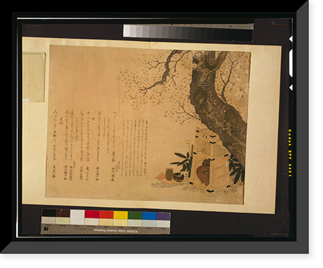 Historic Framed Print, [Japanese Ukiyo-e print] - 1245,  17-7/8" x 21-7/8"