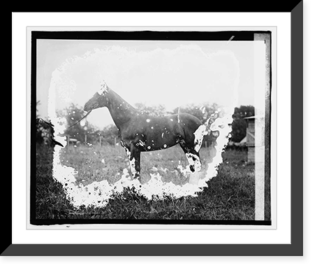 Historic Framed Print, Princess,  17-7/8" x 21-7/8"