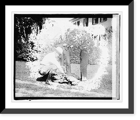 Warren G. Harding - 9 Classic, Vintage Print