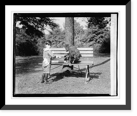 Orangoutang - 4, Historic Reproduction