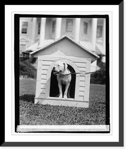 Historic Framed Print, O'Boy, Mrs. Harding's dog, 8/11/21,  17-7/8" x 21-7/8"