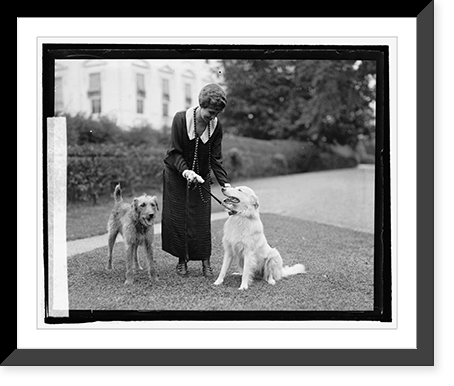 Mrs. Coolidge with Rob Roy & Laddie Buck, 9/26/24, Vintage Print
