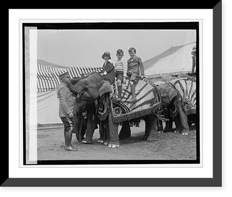 Jane Davis, Jimmy Davis & Theodore Amussen, 5/15/25, Antique Wall Art