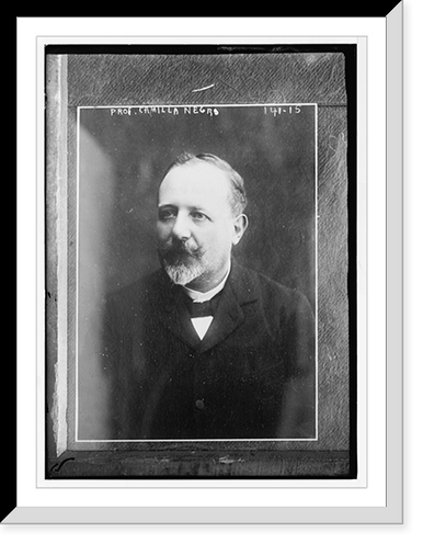 Prof. Camilla Negro, portrait bust, Antique Print