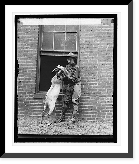 Wm. Harrison Bones, Stinson Goat, 9/5/29 - 2 Classic, Antique Print
