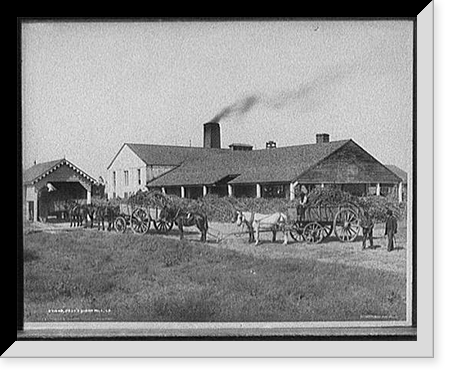 Parade, 5/30/16, Vintage Print
