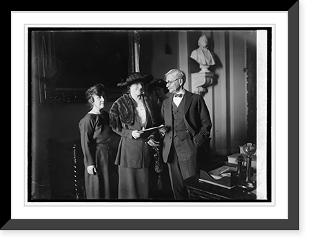 Historic Framed Print, [Mrs. Thos. D. Schall, Mrs. Eugene Drendome & Vice Pres. delivering the electorial vote,  17-7/8" x 21-7/8"